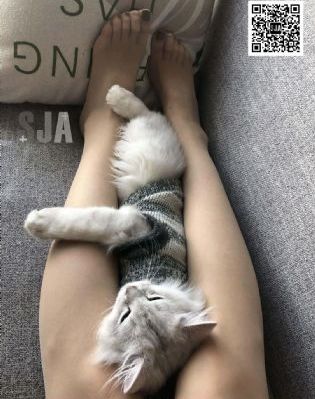 包钰婷的沉沦1一17_高清电影大全在线